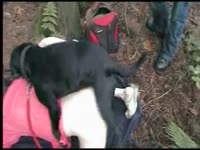 Outdoor dog sex in the woods with beastie gal